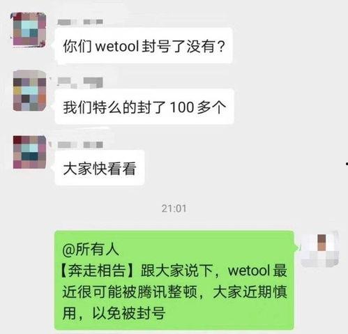 吃瓜私域视频,短视频背后的秘密与魅力