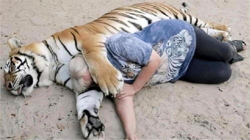 抓地虎吃瓜视频在线观看,带你领略网络红人的魅力瞬间