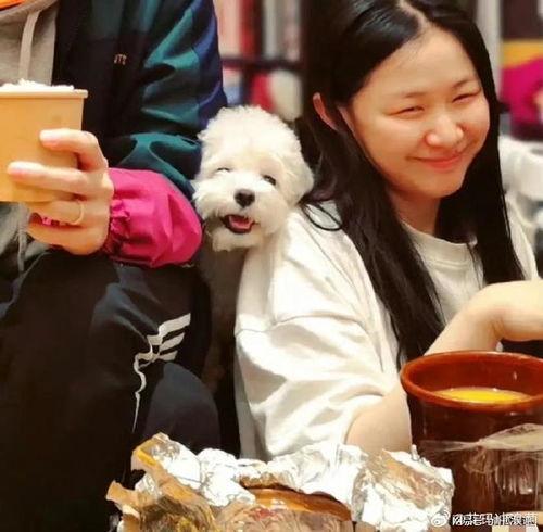 吃瓜视频情侣头像,揭秘吃瓜视频情侣头像背后的浪漫故事