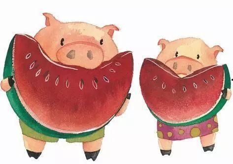 金猪吃瓜视频,趣味横生的萌宠日常