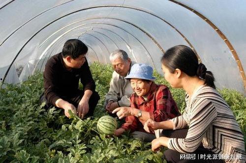 长垣太极原乡吃瓜视频,夏日消暑美食之旅