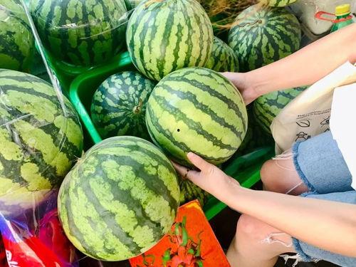 成都青羊吃瓜事件视频,一场引发热议的街头冲突瞬间