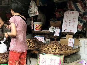 成都青羊吃瓜事件视频,一场引发热议的街头冲突瞬间