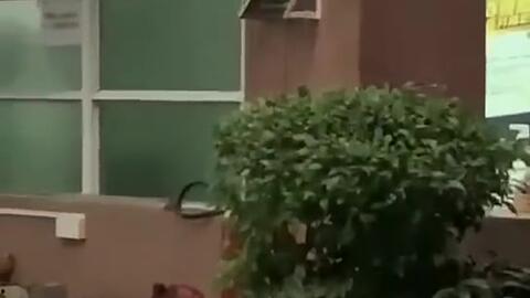 苏州吃瓜新闻视频,揭秘背后惊人真相