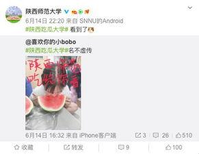 各大高校吃瓜原视频,揭秘各大高校吃瓜原视频背后的故事