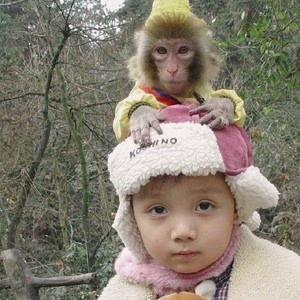 最新吃瓜视频8203,吃瓜视频背后的惊人真相