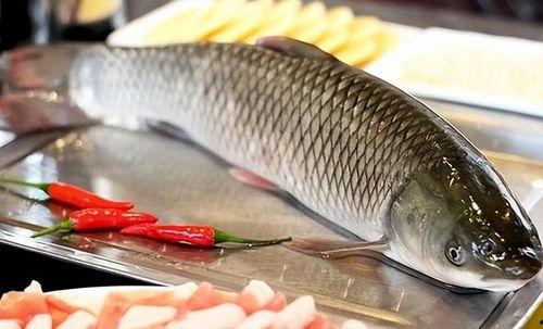 大八瓜鱼吃货视频大全,一场味蕾的盛宴之旅