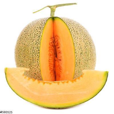 麻雀可以吃哈密瓜吗视频,揭秘麻雀对哈密瓜的喜爱之谜