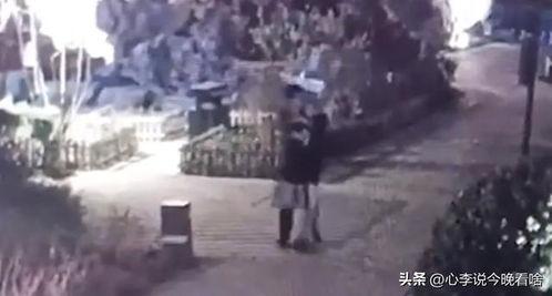 潍坊吃瓜情报事件视频,揭秘网络热议背后的真相