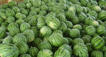 汾阳广场吃瓜视频,趣味横生的街头一幕