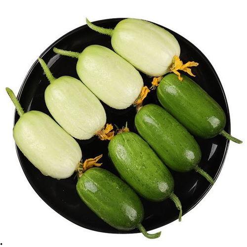 皮条瓜怎么吃最好吃呢视频,视频教你最佳食用方法