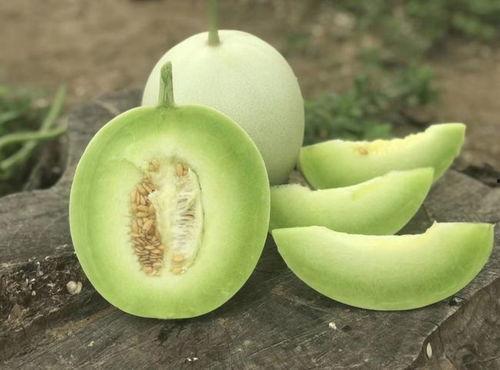 烂掉的玉菇瓜可以吃吗视频,揭秘变质瓜果的真相