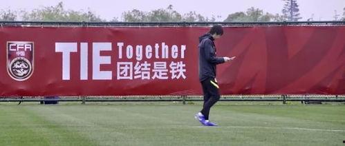 吃瓜视频李铁,吃瓜视频背后的真相与争议