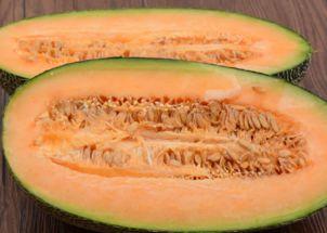 吃哈密瓜的迷惑行为视频,哈密瓜诱惑下的萌宠奇行记